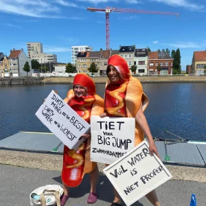 zwanmadammen